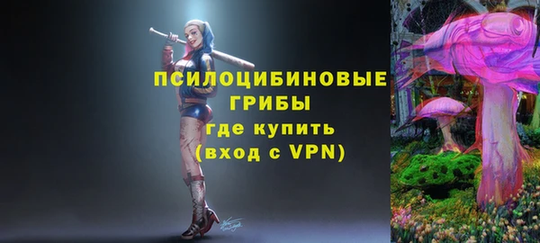 меф Богородицк