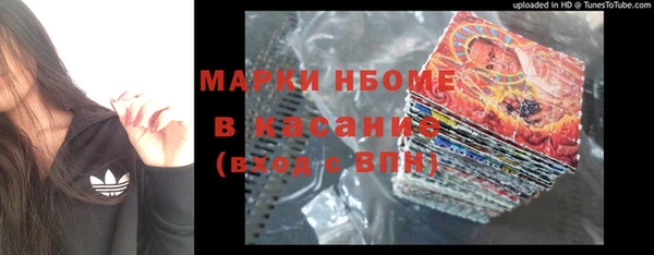 стаф Бородино
