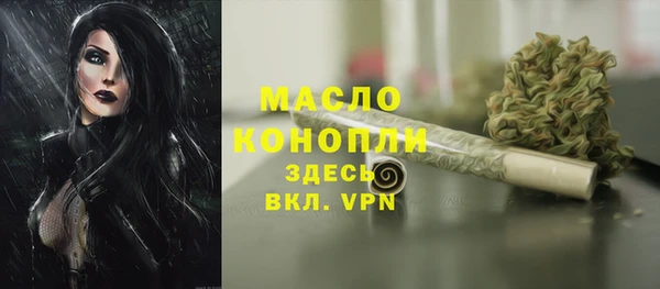 стаф Бородино