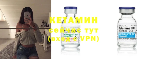 стаф Бородино