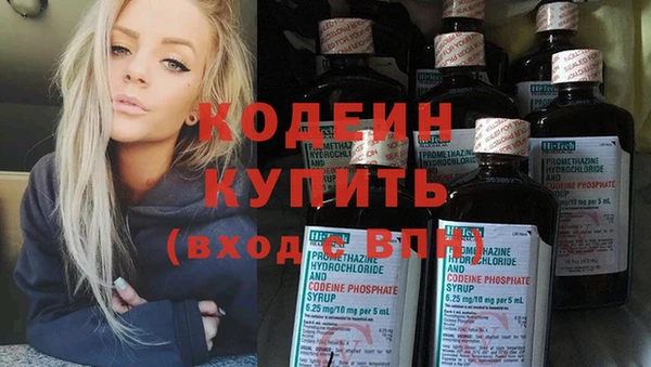 стаф Бородино