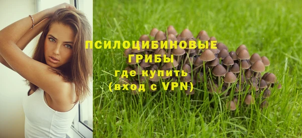 бошки Богданович