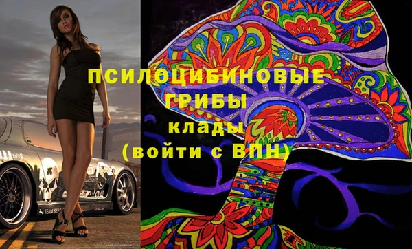 бошки Богданович