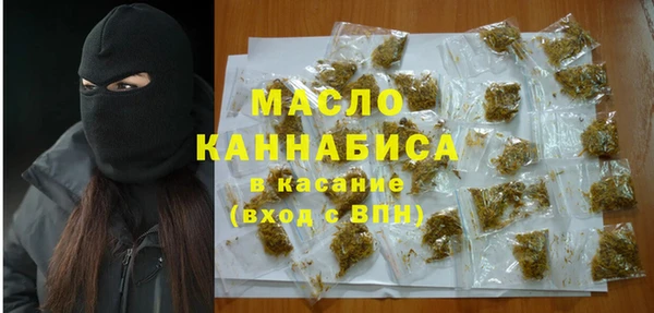 стаф Бородино