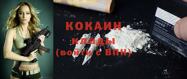 стаф Бородино