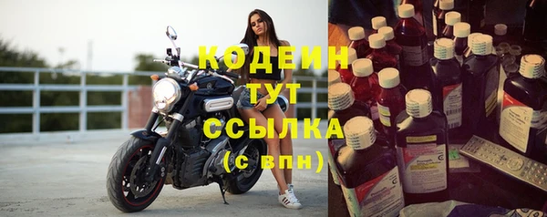 стаф Бородино